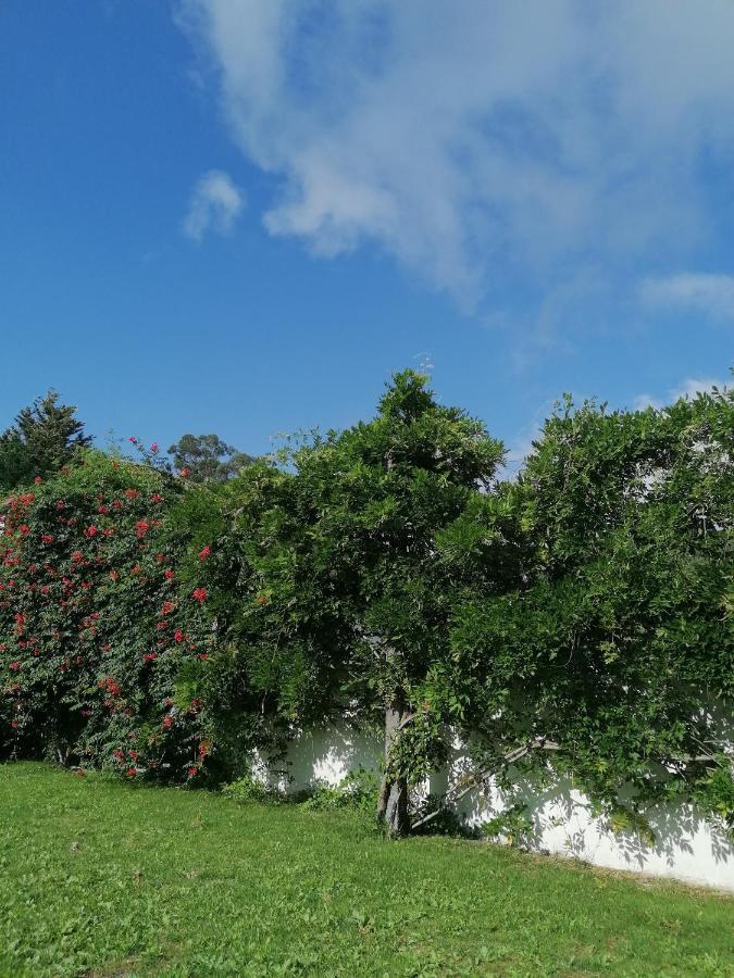 Casa Das Castanheiras Vieira do Minho Exterior foto